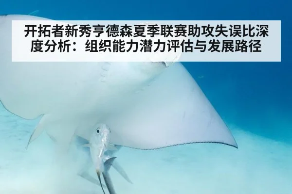 开拓者新秀亨德森夏季联赛助攻失误比深度分析：组织能力潜力评估与发展路径