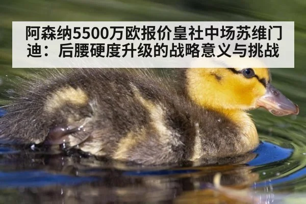 阿森纳5500万欧报价皇社中场苏维门迪：后腰硬度升级的战略意义与挑战