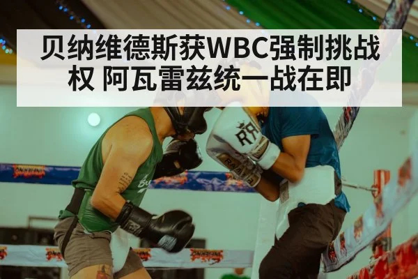 贝纳维德斯获WBC强制挑战权 阿瓦雷兹统一战在即