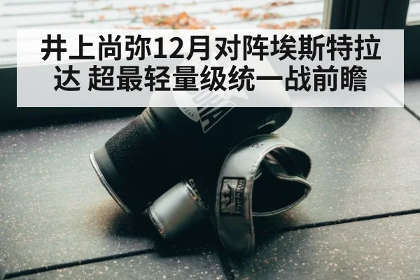 井上尚弥12月对阵埃斯特拉达 超最轻量级统一战前瞻 | nine game